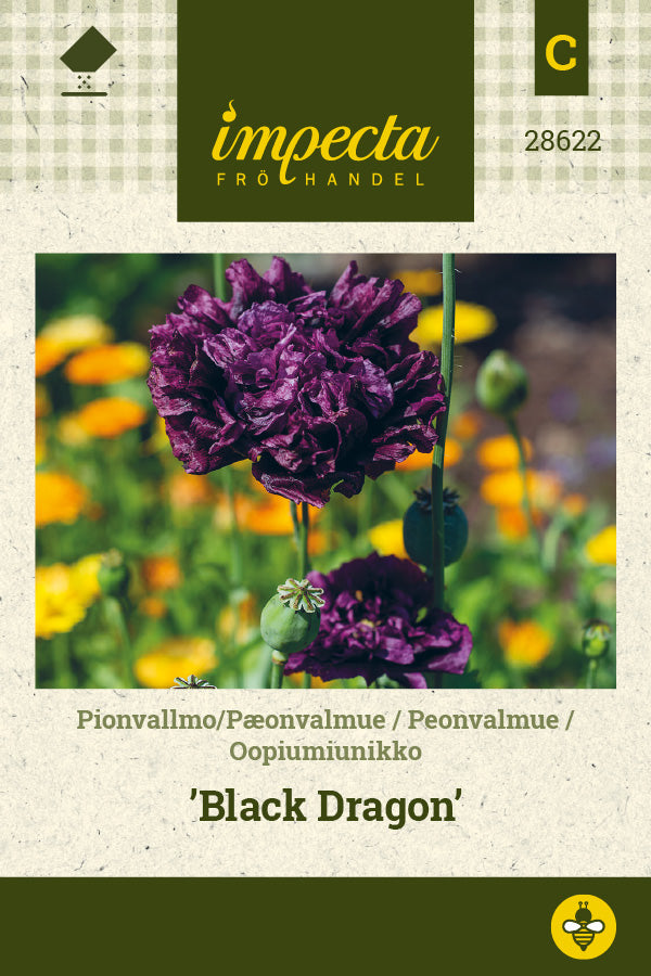 Frø: Pæonvalmue 'Black Dragon'