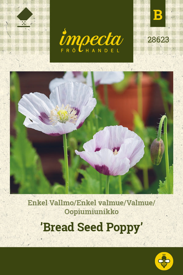 Frø: Enkelt valmue 'Bread Seed Poppy'