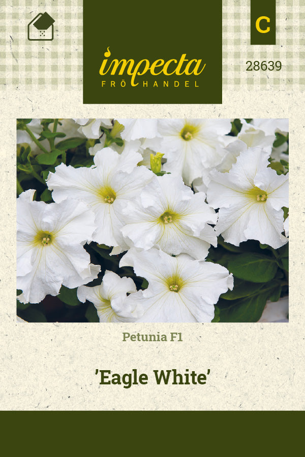 Frø: Petunia F1 'Eagle White'