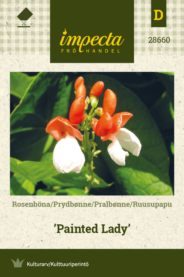 Frø: Pralbønne 'Painted Lady'