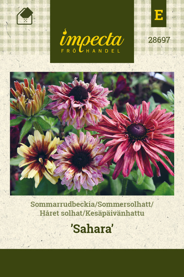 Frø: Håret solhat 'Sahara'