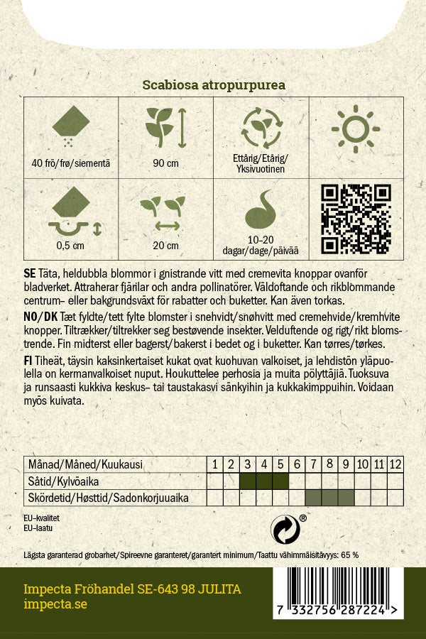 Frø: Enkeblomst 'Snowmaiden'
