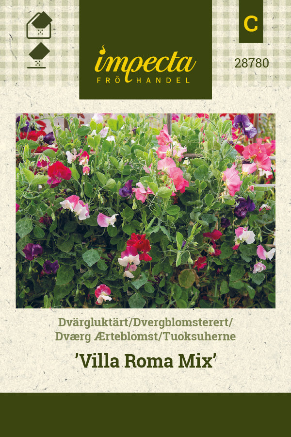 Frø: Dværg Ærteblomst 'Villa Roma Mix'