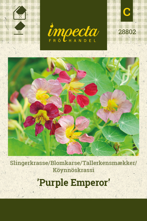 Frø: Tallerkensmækker 'Purple Emperor'