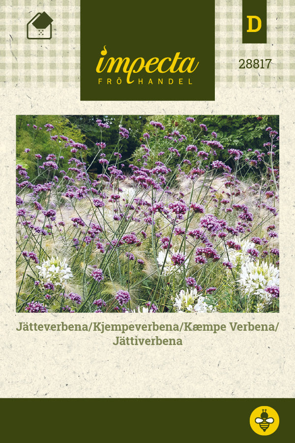 Frø: Kæmpe Verbena