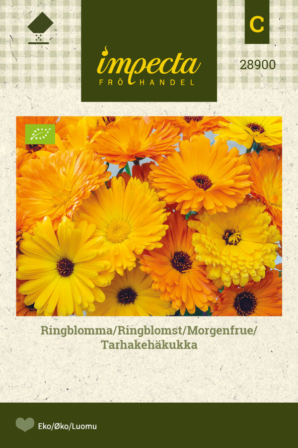 Frø: Morgenfrue Mix