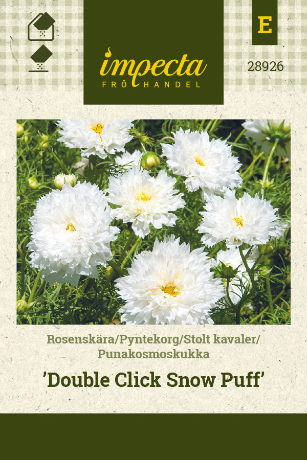 Frø: Stolt kavaler 'Double Click Snow Puff'