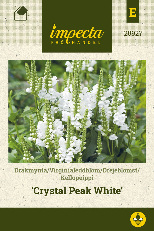 Frø: Drejeblomst 'Crystal Peak White'