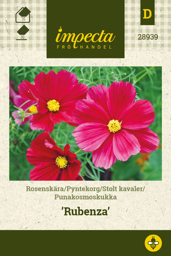 Frø: Stolt kavaler 'Rubenza'