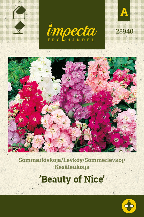 Frø: Sommerlevkøj 'Beauty Of Nice'