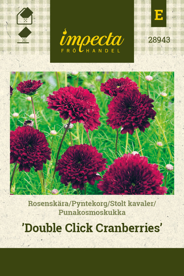 Frø: Stolt kavaler 'Double Click Cranberries'