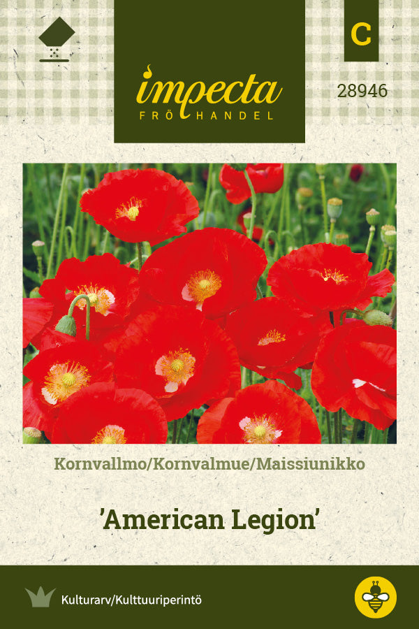 Frø: Kornvalmue 'American Legion'