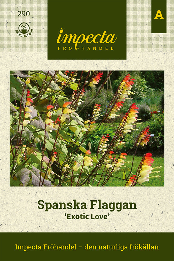 Frø: Spansk Flag 'Exotic Love'