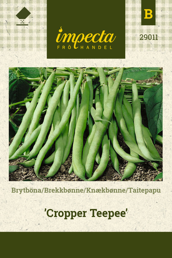Frø: Knækbønne 'Cropper Teepee'