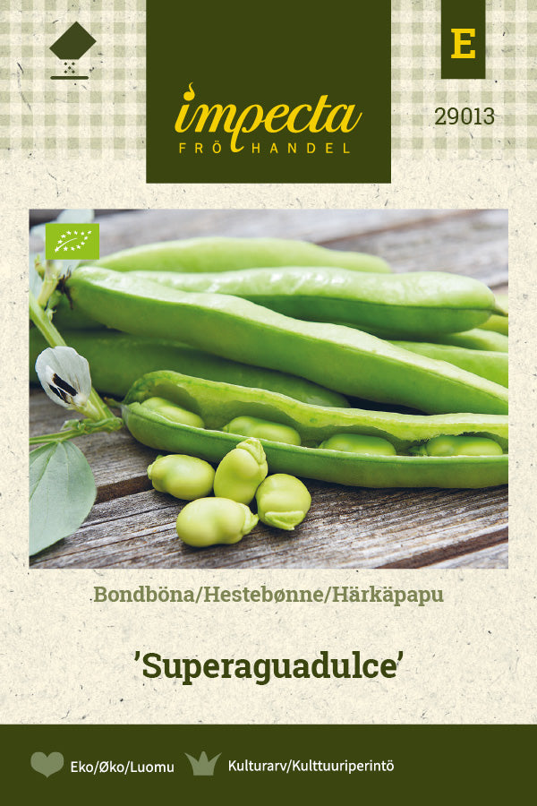 Frø: Hestebønne 'Superaguadulce'