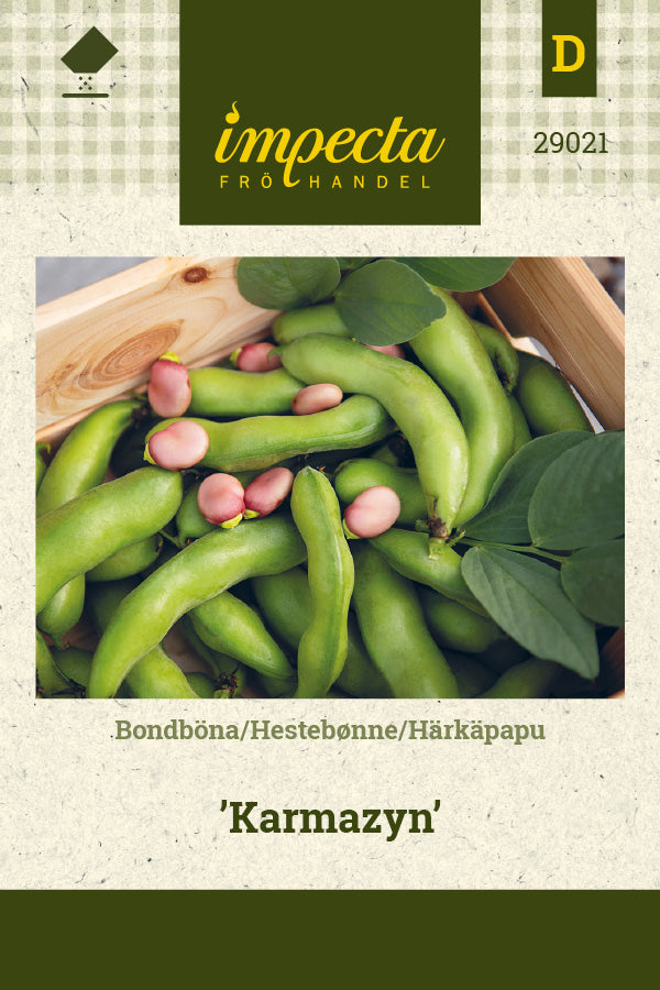 Frø: Hestebønne 'Karmazyn'