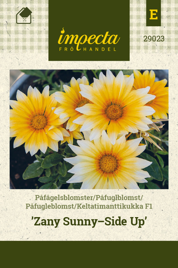 Frø: Påfugleblomst F1 'Zany Sunny-Side Up'