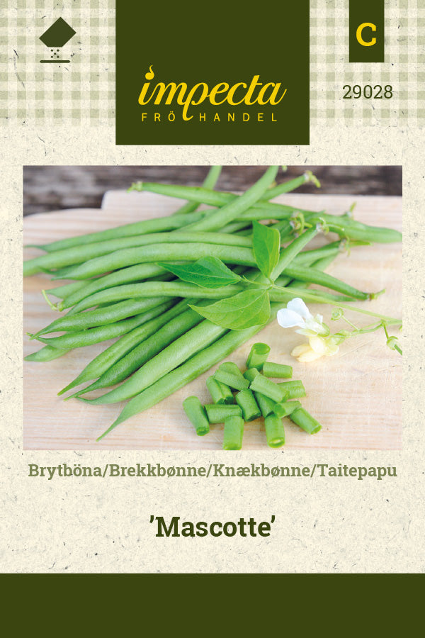 Frø: Knækbønne 'Mascotte'