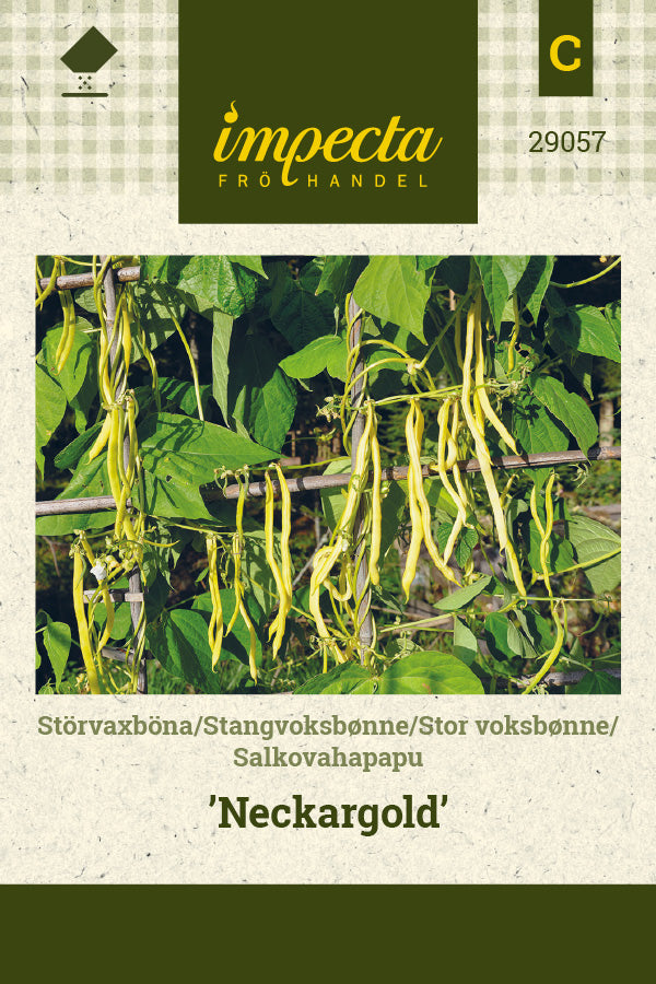 Frø: Stor voksbønne 'Neckargold'