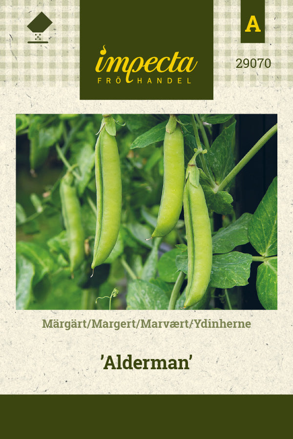Frø: Marvært 'Alderman'
