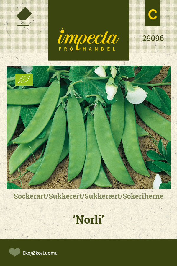 Frø: Sukkerært 'Norli'