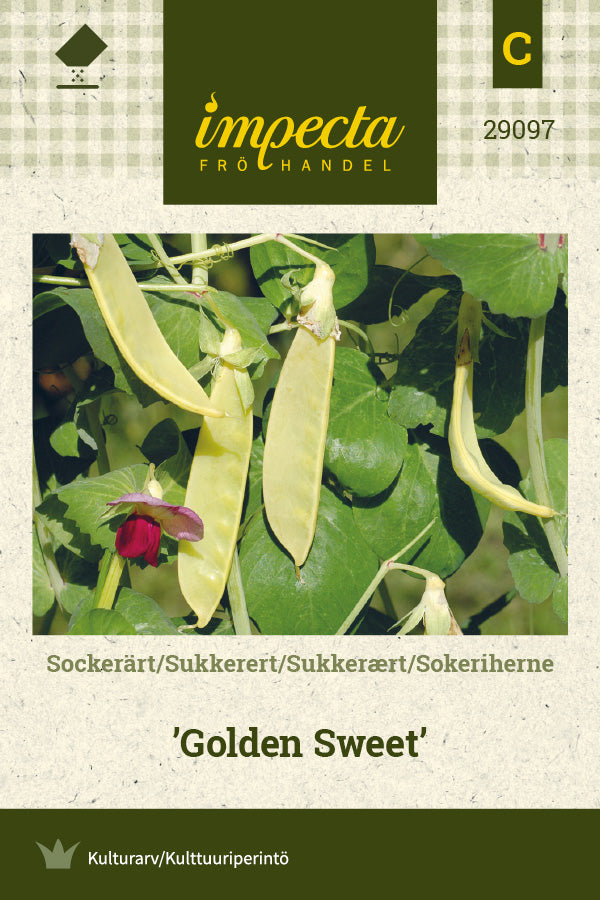 Frø: Sukkerært 'Golden Sweet'