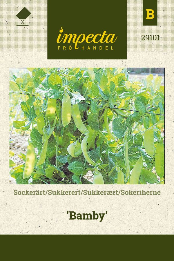 Frø: Sukkerært 'Bamby'
