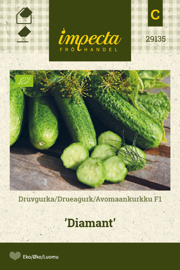 Frø: Drueagurk F1 'Diamond'