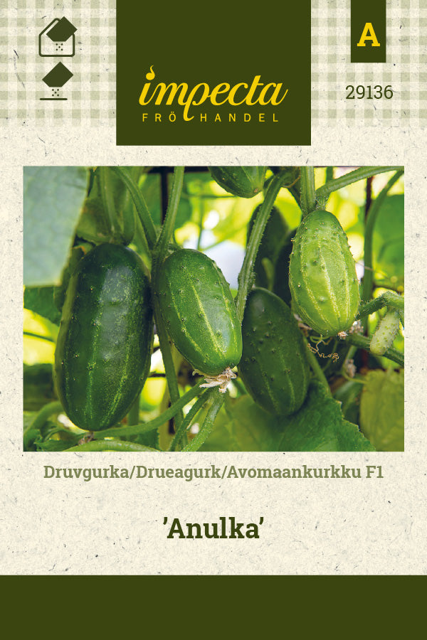 Frø: Drueagurk F1 'Anulka'