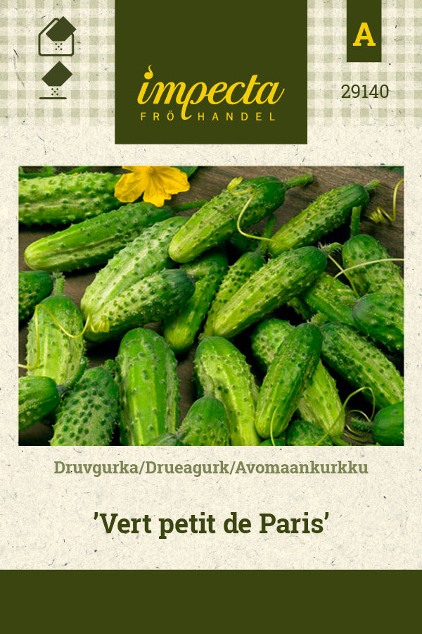 Frø: Drueagurk 'Vert petit de Paris'