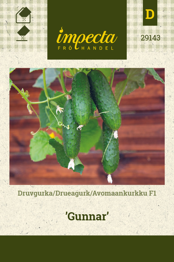 Frø: Drueagurk F1 'Gunnar'