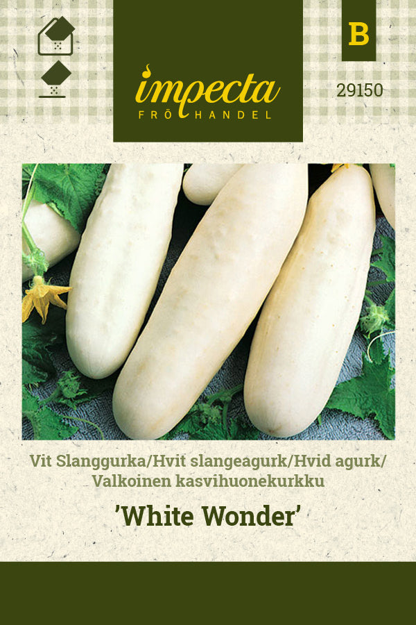 Frø: Hvid agurk 'White Wonder'