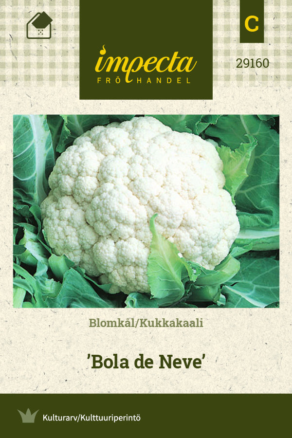 Frø: Blomkål 'Bola de Neve'
