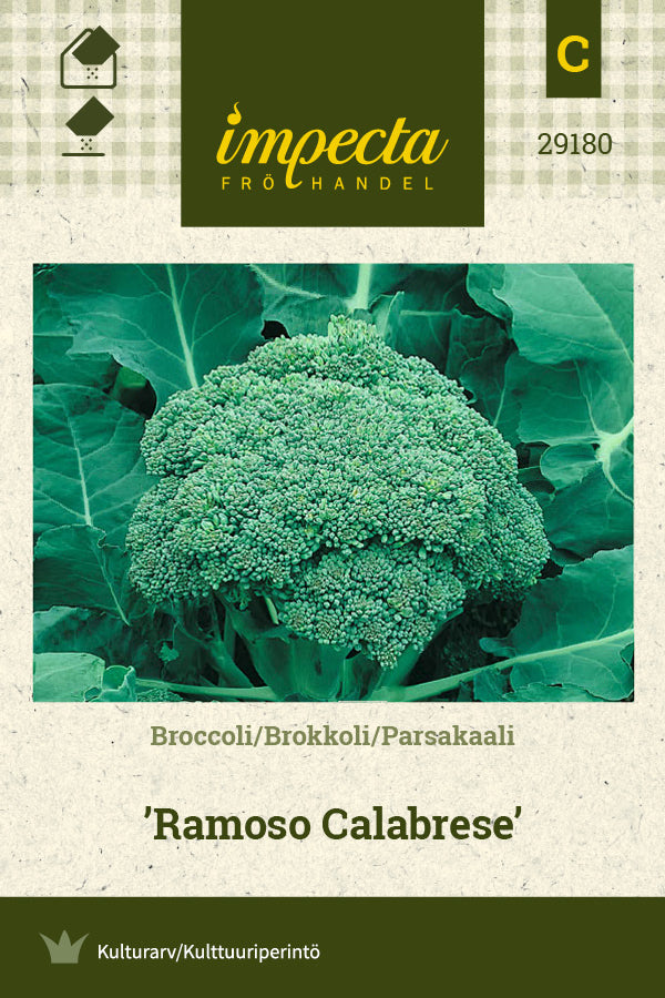 Frø: Broccoli 'Ramoso Calabrese'