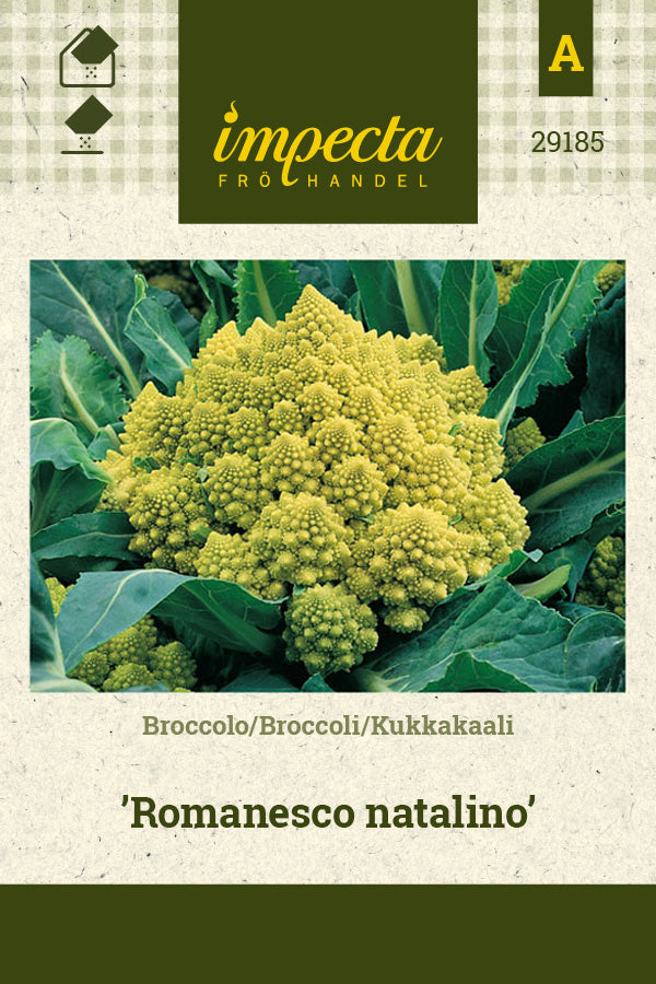 Frø: Broccoli 'Romanesco natalino'