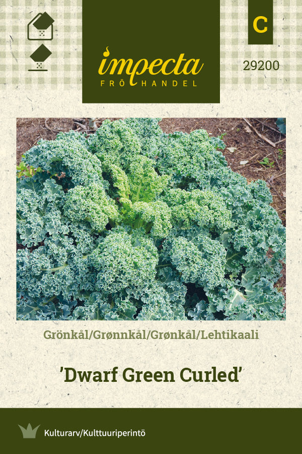 Frø: Grønkål 'Dwarf Green Curled'