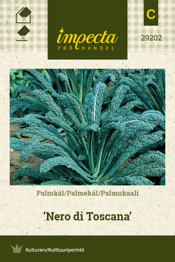Frø: Palmekål 'Nero di Toscana'