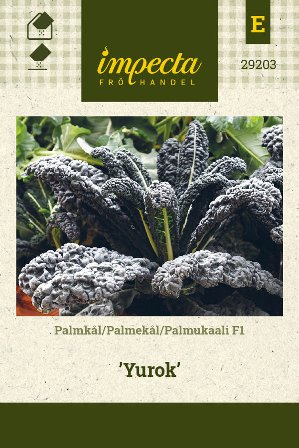 Frø: Palmekål F1 'Yurok'