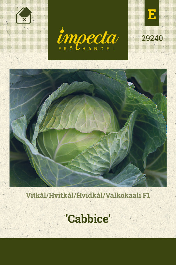 Frø: Hvidkål F1 'Cabbice'