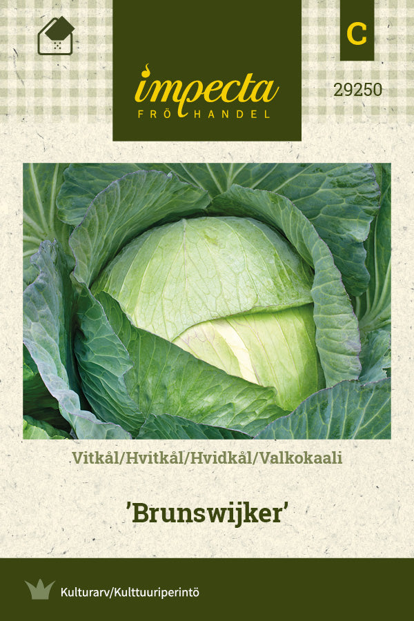 Frø: Hvidkål 'Brunswick'