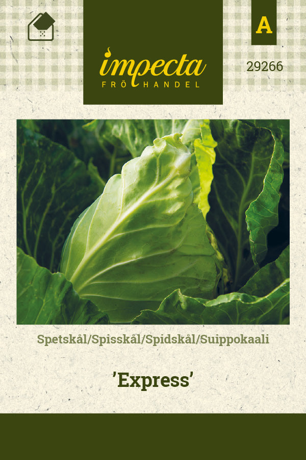 Frø: Spidskål 'Express'