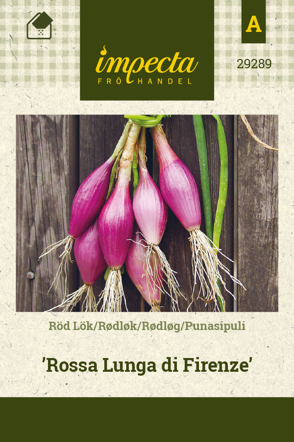 Frø: Rødløg 'Rossa Lunga di Firenze'
