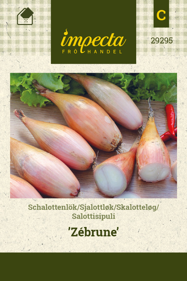 Frø: Skalotteløg 'Zébrune'