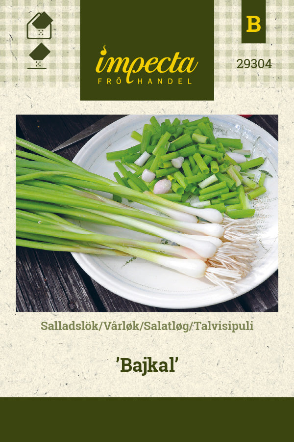 Frø: Salatløg 'Baikal'