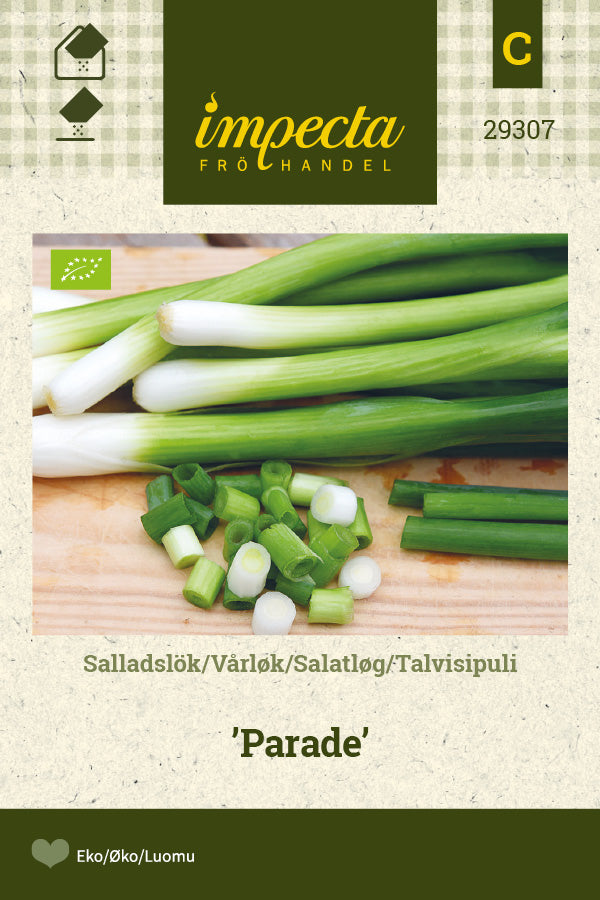 Frø: Salatløg 'Parade'