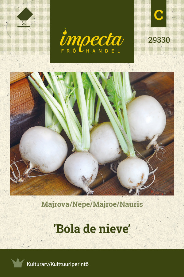 Frø: Majroe 'Bola de nieve'