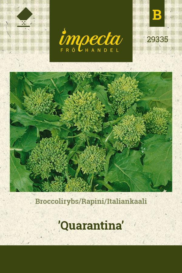 Frø: Rapini 'Quarantina'