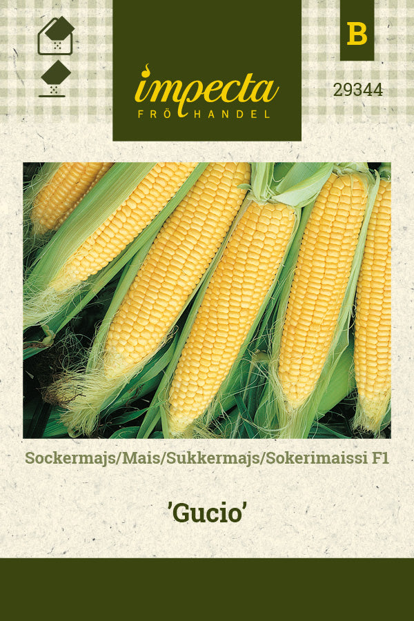 Frø: Sukkermajs F1 'Gucio'