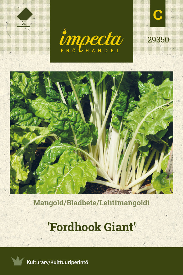 Frø: Mangold 'Fordhook Giant'