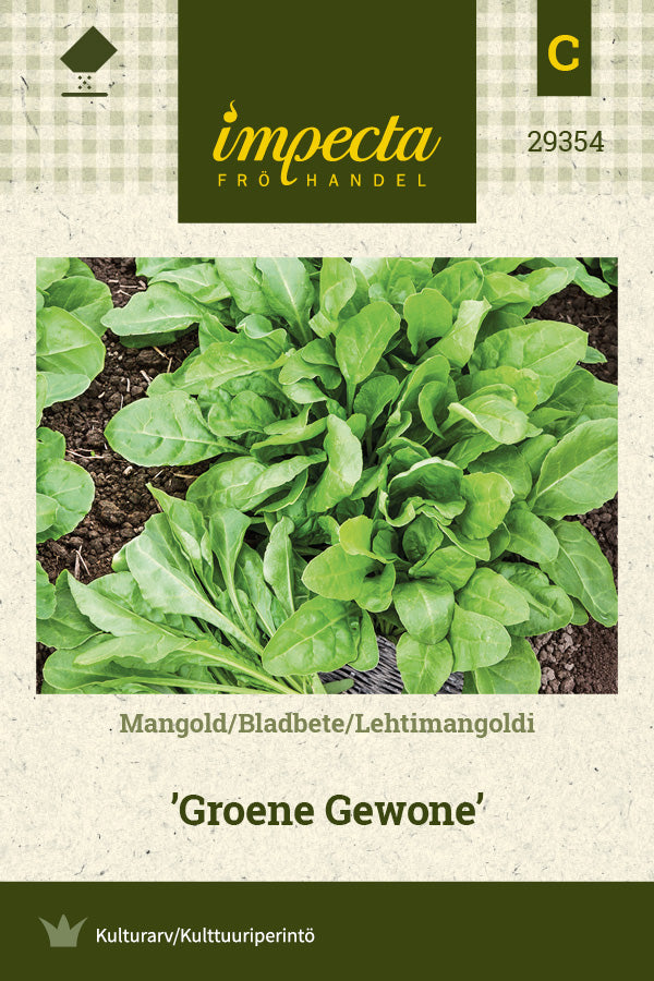 Frø: Mangold 'Groene Gewone'